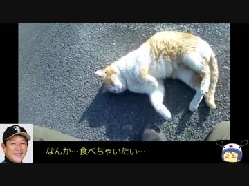 ポケモンGO全市町村制覇の旅(日本一周) part07 大分・宮崎編 【ゆっくり＆CeVIO】