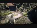 【レッドデッドリデンプション2】のある日18