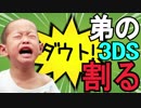 弟の3DSを半分に割りました