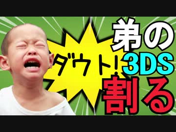 弟の3DSを半分に割りました