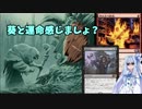 【MTG】葵と運命感じましょ？【モダン】