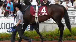 【ウイニングポスト8 2015】女馬主と早世馬の新世界【実況プレイ】344