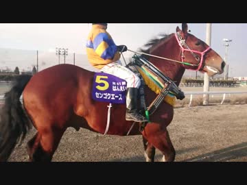 【観客視点】第５１回 ばんえい記念(2019.3.24)