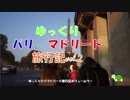 【ゆっくりパリ・マドリード旅行】vol.2 エッフェル塔とアイスクリーム