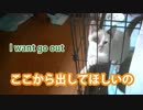 出してほしいの