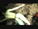 [7DTD] 動物園は悪夢24 [α17.2]