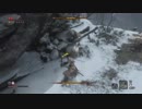 【SEKIRO／隻狼】蛇の目シラフジ 戦　簡単攻略！