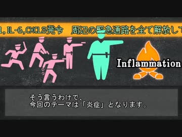【ゆっくり解説】炎症+α