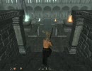 [PC] Oblivion - Shivering Isles Part95