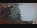【SEKIRO】復讐を果たし巧みに殺す隻腕の狼【実況】part15(蛇の目 シラハギ撃破)