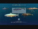 【ゲーム実況】鬼だちと不思議の海のサバ【ACE OF SEAFOOD】part1