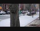 西川輝寿　Cold_run