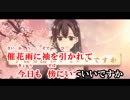 【ニコカラ】桜花ニ月夜ト袖シグレ／After the Rain 【on vocal】