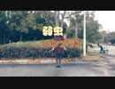 【踊みた駅伝⑳】弱虫モンブラン【踊ってみた】