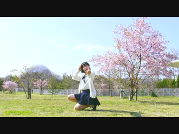 【チャイナ】ハルイチ。 踊ってみた【with桜】