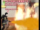 〖Sims3でAPH〗隊長の表彰式失敗編