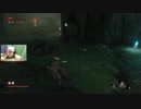 【SEKIRO】蛇の目シラハギ 戦わないで忍殺だけで倒せる方法を見つけた！