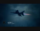 Ace Combat 7 Multiplayer16  バトルロイヤル  F-16C + SASM
