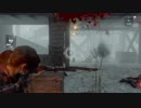 [RISE OF THE TOMB RAIDER]春になりましたが探検家になってみる part18