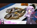 釣った魚は最後まで　＃３３　メバルの煮付け【VOICEROIDキッチン】