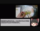【ゆっくり解説】初心者向け料理教室Part3【味噌汁編】