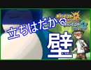 Rate1912～【ポケモンUSM】ここが限界点かぁ・・？