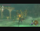 【実況】完全初見のゼルダの伝説ブレスオブザワイルドpart65