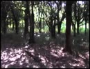 不意打ち「いる。」～怖すぎる投稿映像13本～Vol.23