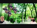 マニアの森
