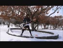 SKYLARK_dying inside  クサメタル　ベースで演奏のオカマ