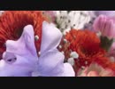 【オリジナル曲】 Heart - Sukui