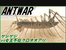 ゲジゲジVS女王不在クロオオアリ～取り戻した生きる意味～