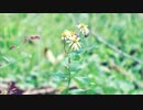 雫