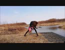 BLIND GUARDIAN "JORNEY THROUGH THE DARK"ブラインドガーディアン　ベース　弾いてみたオカマ
