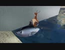 1分で分かる、鹿のゲーム