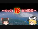 ～ゆっくり　珍　生物図鑑～　新・76回
