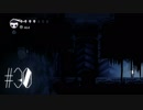 【第３０夜】眠れぬ夜のHOLLOW KNIGHT【実況】