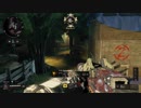 【COD BO4】装備頼りの対人戦148【TDM100】