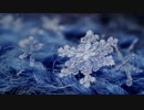 inst / プリズム /feat. yamabouzu