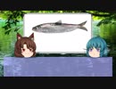 【ゆっくり解説】ゆっくりわかさぎ姫が教える魚　#8匹目　~鰊~