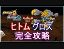 Rate1855～【ポケモンUSM】グロスとヒトム対策