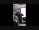ウサギのtiktok