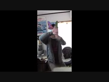 ウサギのtiktok