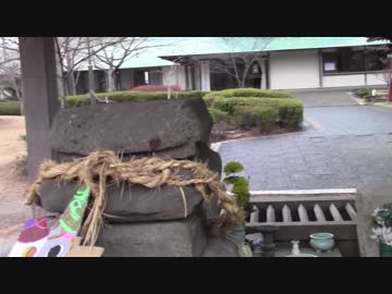 ウサギが池でカモを襲う