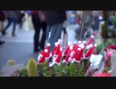 Christmas-Plants　来馬哲二