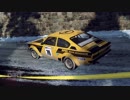 【DiRT Rally 2.0】とりあえず走る part.7