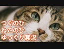 ゆっくり・ねこのひ怪奇譚【つぐのひシリーズ】