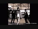 WANDS　全曲集 (サビメドレー)