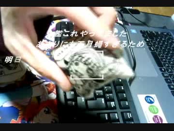 《刺繍》この動画の伸び次第では、本気の全力での《ボンドルド》の刺繍を考えています。カートリッジ付けてもいいかな。。