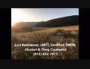 Agoura Hills Family Therapist - Marriage Counselor - Addiction Counseling - EMDR